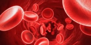País deve dar mais atenção aos sintomas da anemia hereditária