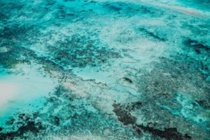 Conheça cinco piscinas naturais em praias nordestinas