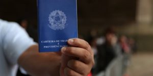 Saiba mais sobre o Programa Verde Amarelo de Pernambuco