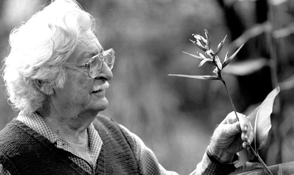 Museu da Cidade do Recife homenageia Burle Marx com quiz no Instagram museu da cidade do recife homenageia burle marx com quiz no instagram