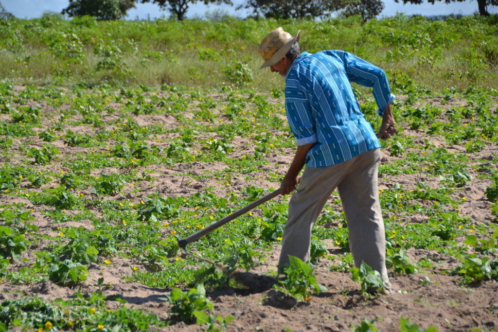 Rede CAF: inscrições abertas para entidades públicas e privadas Rede CAF