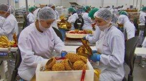 Faturamento da indústria de alimentos encerra 2021 com aumento de 17%