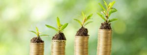 Economia Verde resulta em novos investimentos