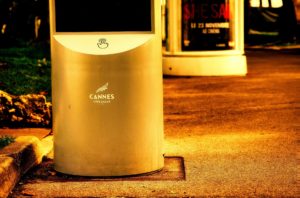 A Flor do Buriti vence mostra Um Certo Olhar em Cannes
