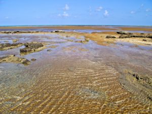 Economia na alta temporada: Alagoas receberá 1 milhão de turistas e R$ 2 bi