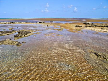 Economia na alta temporada: Alagoas receberá 1 milhão de turistas e R$ 2 bi Economia na alta temporada: Alagoas receberá 1 milhão de turistas e R$ 2 bi