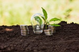 Economia regenerativa e transição energética sustentável em Pernambuco