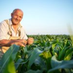 Agricultura familiar pernambucana