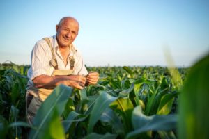 Agricultura familiar pernambucana: Como ela movimenta a economia?