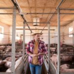 Raças brasileiras de suínos ganham espaço na segurança alimentar e no mercado de produtos premium