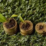 Crise de crédito no campo pressiona produtores e eleva pedidos de recuperação judicial