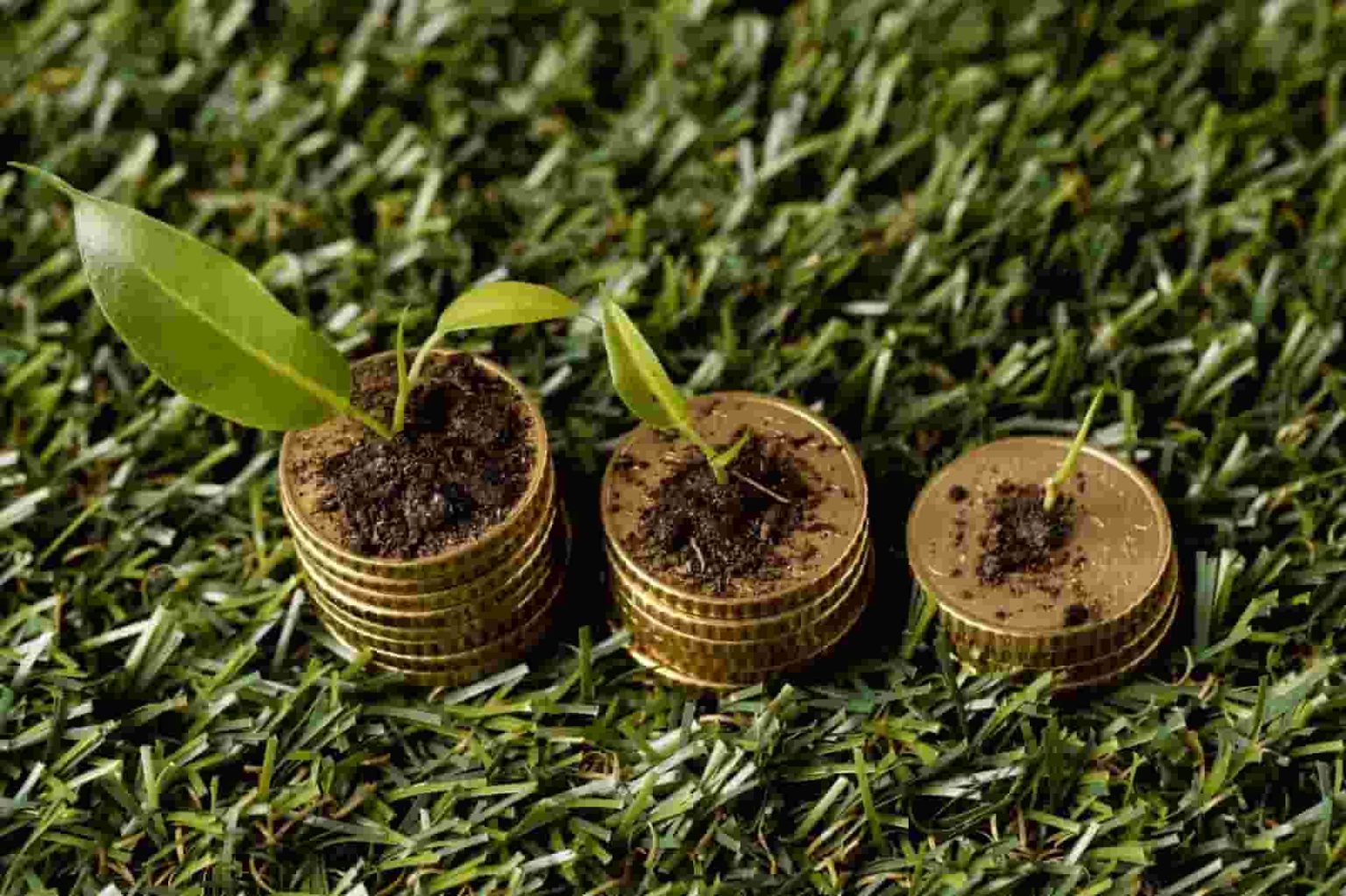 Crise de crédito no campo pressiona produtores e eleva pedidos de recuperação judicial Crise de crédito no campo pressiona produtores e eleva pedidos de recuperação judicial