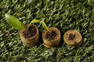 Crise de crédito no campo pressiona produtores e eleva pedidos de recuperação judicial Crise de crédito no campo pressiona produtores e eleva pedidos de recuperação judicial