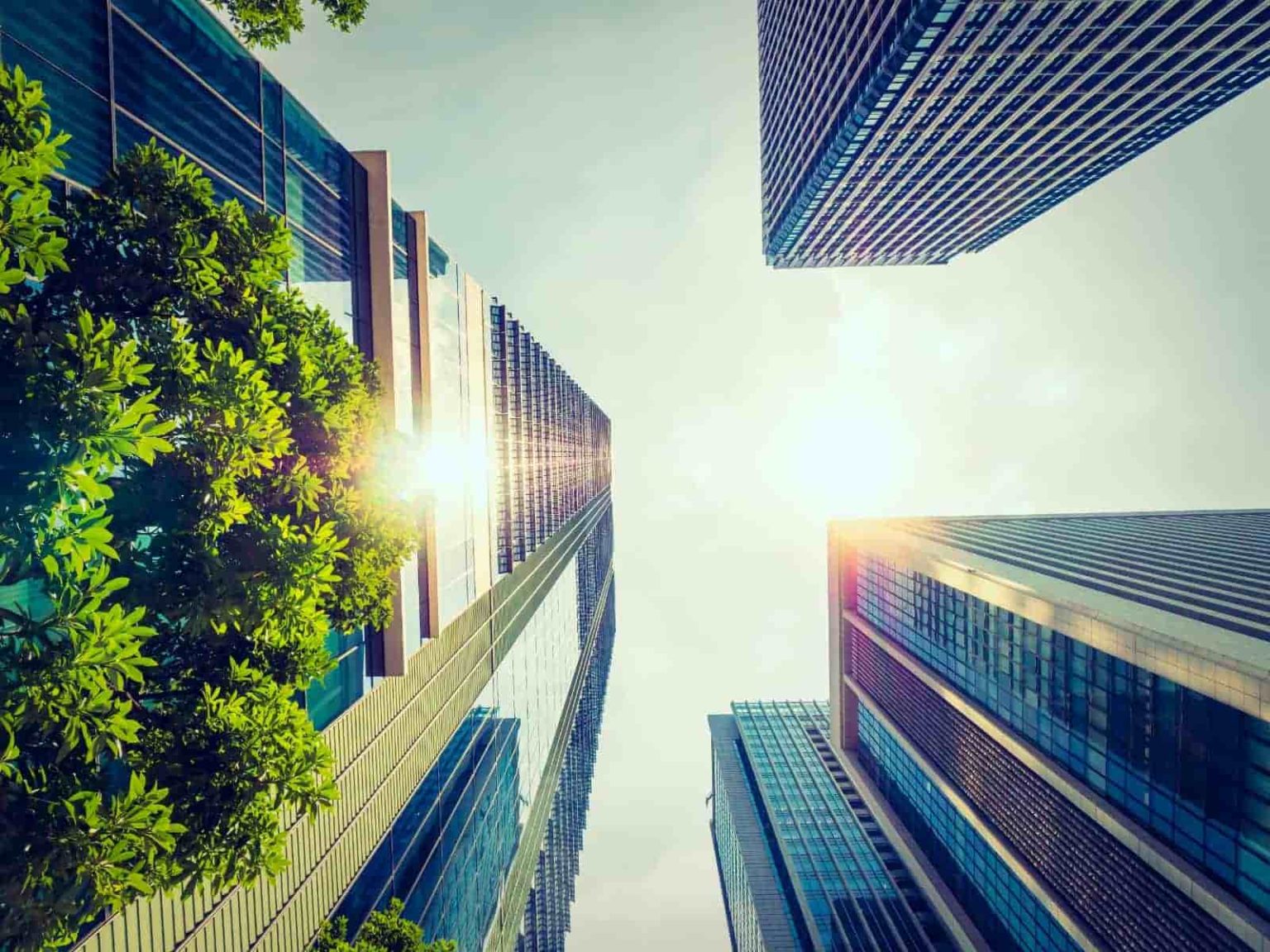 Prédios sustentáveis: Dez empreendimentos com selo LEED Platinum Prédios sustentáveis: São Paulo reúne dez empreendimentos com selo LEED Platinum