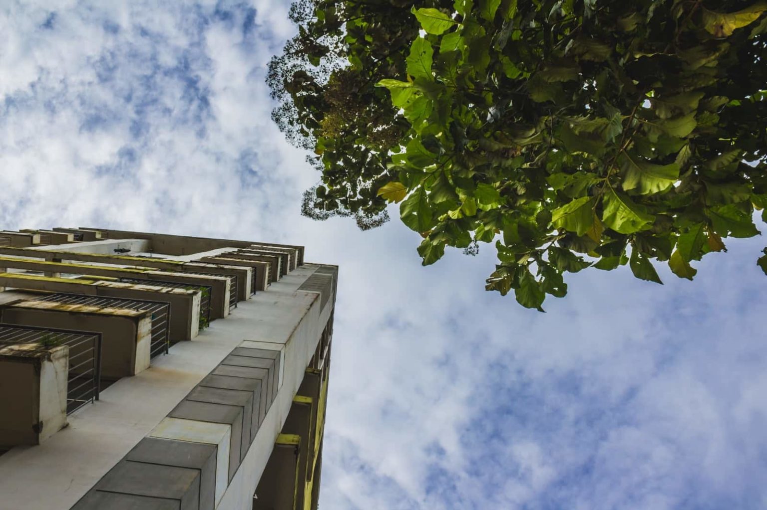 Imóveis sustentáveis ganham espaço e valorização com soluções de eficiência Imóveis sustentáveis ganham espaço e valorização com soluções de eficiência